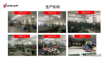 一条价值万元的鱼与千金一字 Lykan广告语征集解析